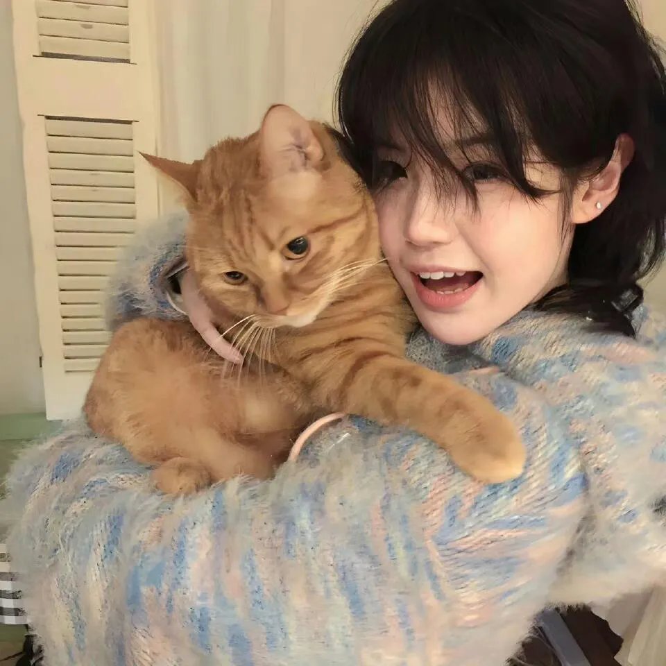 新夏威夷神探第四季